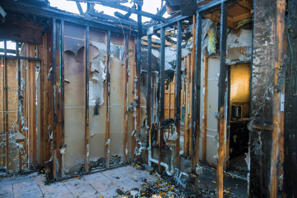 Professional Soot Cleanup technician working in Osprey, FL
