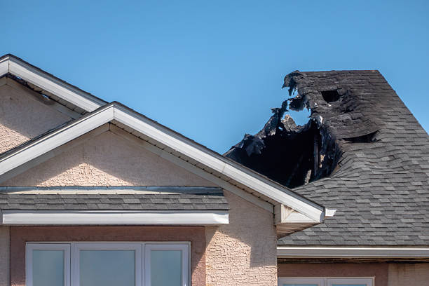 Top rated local Soot Cleanup specialists in Osprey, FL